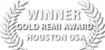 Gold Remi Award - Worldfest Houston 